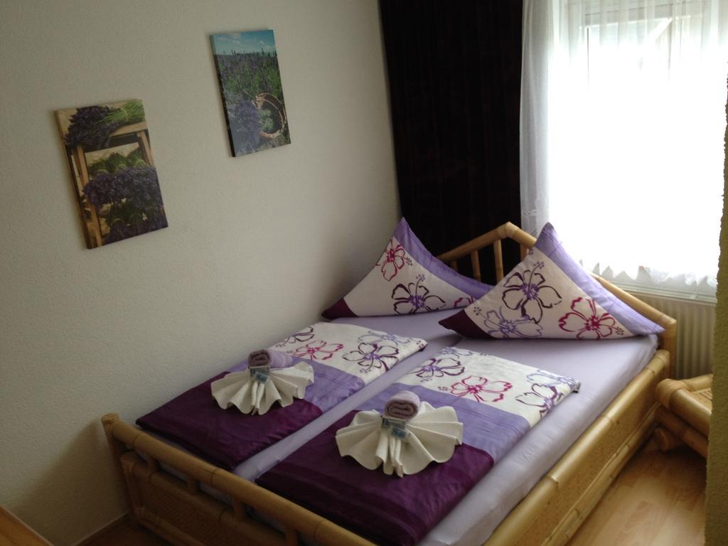 Landpension Bielatal - Raum Экстерьер фото