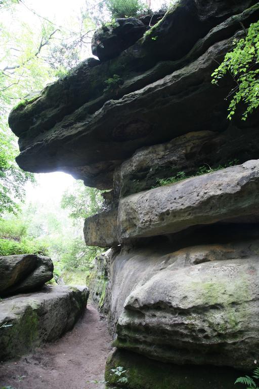 Landpension Bielatal - Raum Экстерьер фото