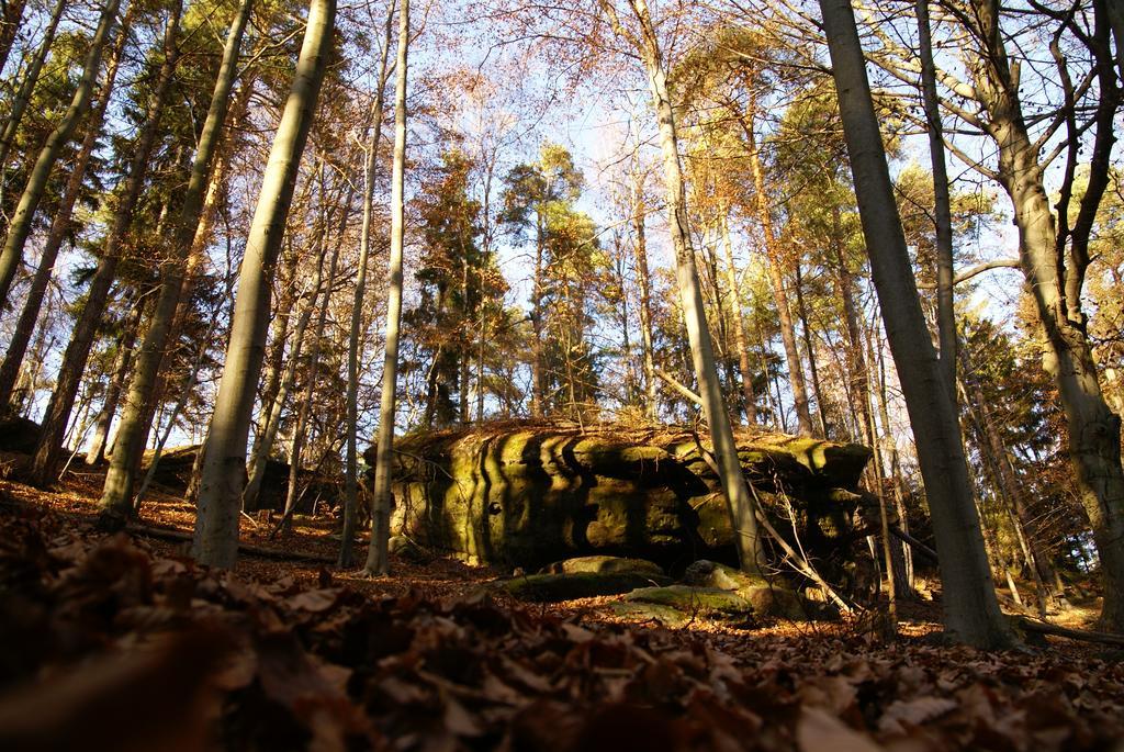 Landpension Bielatal - Raum Экстерьер фото