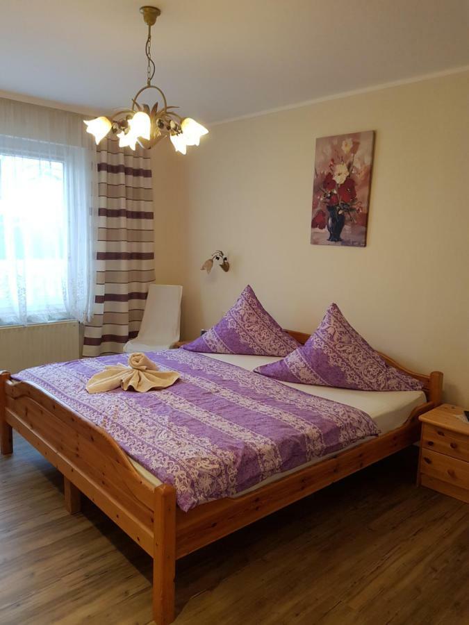 Landpension Bielatal - Raum Экстерьер фото